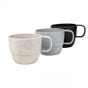 taza-eco-everton.jpg